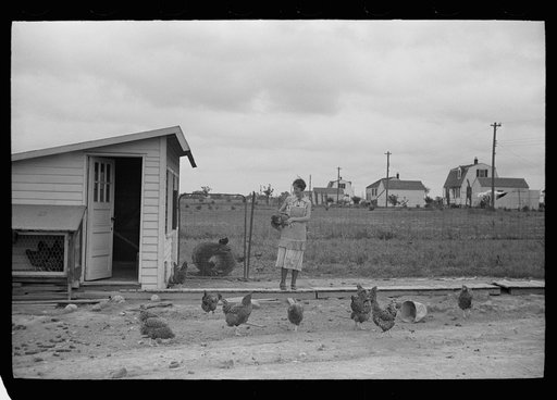 Untitled photo, possibly related to: House at Decatur Homesteads, Indiana