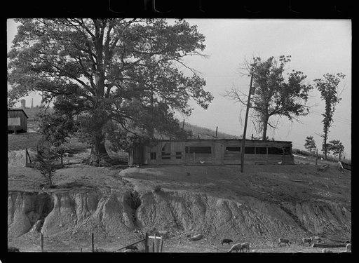Untitled photo, possibly related to: Eroded farmland, Martin County, Indiana