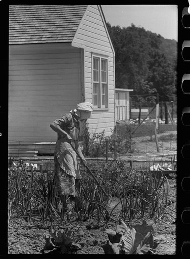 Untitled photo, possibly related to: Wife of homesteader in garden, Scioto Farms, Ohio