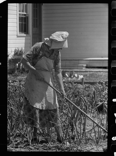 Untitled photo, possibly related to: Wife of homesteader in garden, Scioto Farms, Ohio