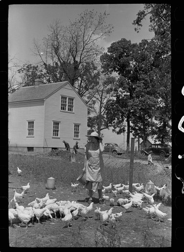 Wife of homesteader in garden, Scioto Farms, Ohio