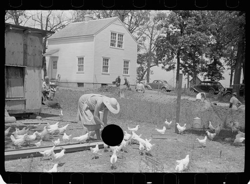 Untitled photo, possibly related to: Wife of homesteader in garden, Scioto Farms, Ohio