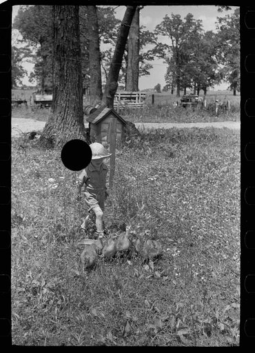Untitled photo, possibly related to: Wife of homesteader in garden, Scioto Farms, Ohio