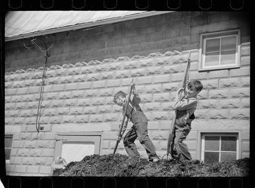 Farmer's sons unloading manure, Scioto Farms, Ohio