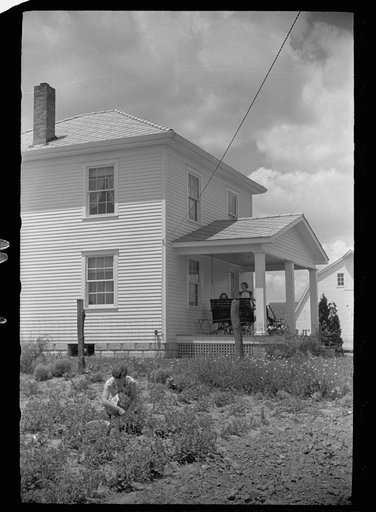 Farmer's wife picking beans in garden, Scioto Farms, Ohio