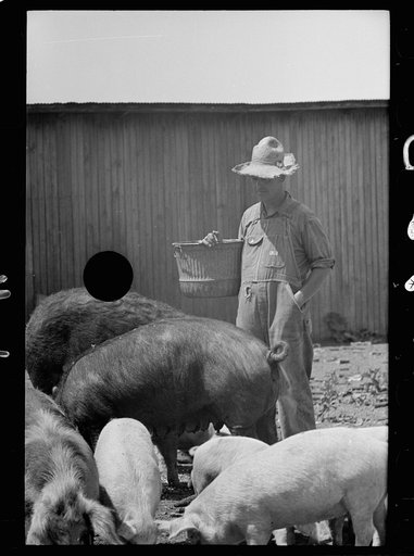 Untitled photo, possibly related to: Farmer and child, Scioto Farms, Ohio