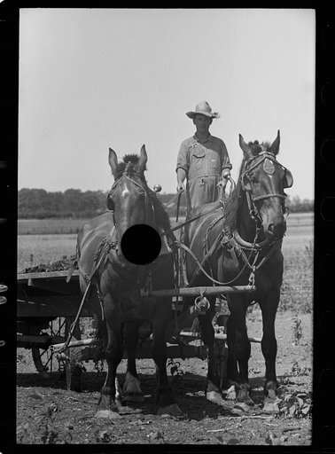 Untitled photo, possibly related to: Farmer and child, Scioto Farms, Ohio
