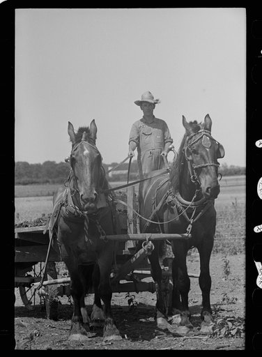 Untitled photo, possibly related to: Farmer and child, Scioto Farms, Ohio