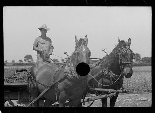Untitled photo, possibly related to: Farmer and child, Scioto Farms, Ohio