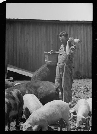 Untitled photo, possibly related to: Farmer and child, Scioto Farms, Ohio