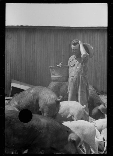 Untitled photo, possibly related to: Farmer and child, Scioto Farms, Ohio