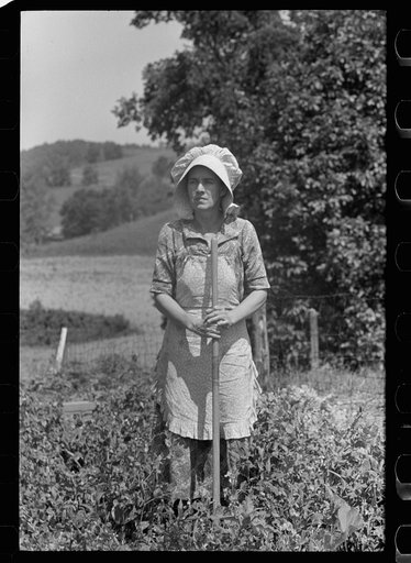 Farmer's wife with chickens, Scioto Farms, Ohio