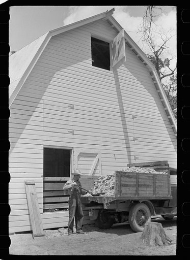 Farmer unloading corn, Scioto Farms, Ohio