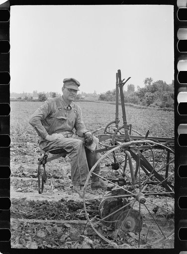 Mr. Liston Barnes, resettled farmer who lived in Martin County, Wabash Farms, Indiana