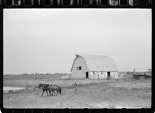 Untitled photo, possibly related to: Part-time farmer who works in Loogootee with his family, Wabash Farms, Indiana