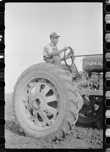 Tractor operator, Wabash Farms, Indiana