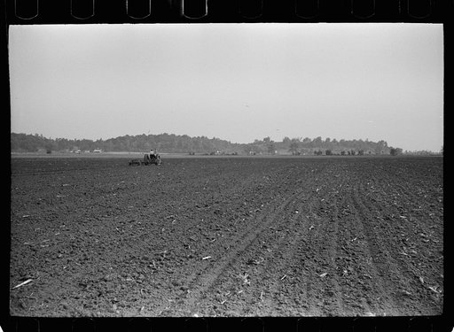 Large fields make tractor cultivation necessary. Wabash Farms, Indiana