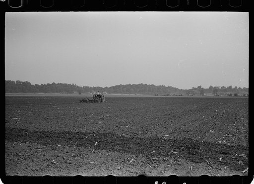 Untitled photo, possibly related to: Large fields make tractor cultivation necessary. Wabash Farms, Indiana