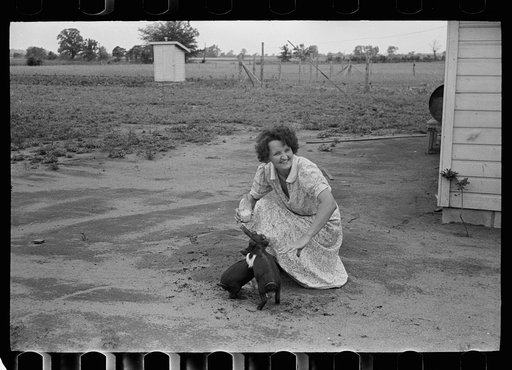 Untitled photo, possibly related to: Feeding chickens, Wabash Farms, Indiana