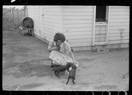 Untitled photo, possibly related to: Feeding chickens, Wabash Farms, Indiana