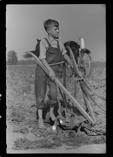 Farm boy, Wabash Farms, Indiana