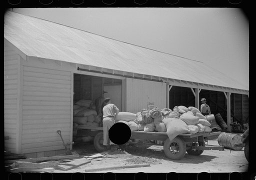 Untitled photo, possibly related to: Loading supplies into shed, Wabash Farms, Indiana