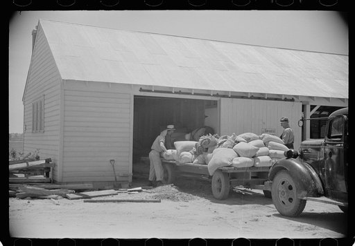 Loading supplies into shed, Wabash Farms, Indiana