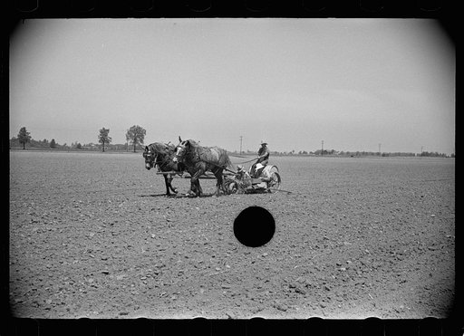 Untitled photo, possibly related to: Planting tomatoes, Wabash Farms, Indiana