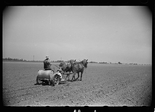 Untitled photo, possibly related to: Planting tomatoes, Wabash Farms, Indiana