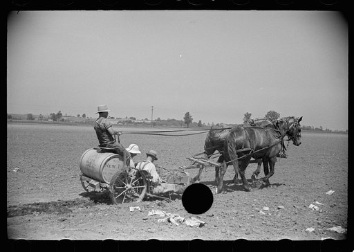 Untitled photo, possibly related to: Planting tomatoes, Wabash Farms, Indiana