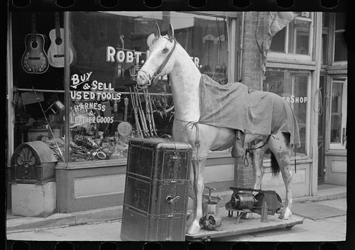 Secondhand store, Peoria, Illinois
