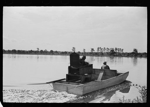 Untitled photo, possibly related to: During the picking process many of the cranberries are torn from the vines and fall to the ground. The bogs are then flooded and agitated with the hydroplane which causes the cranberries to float, Burlington County, New Jersey
