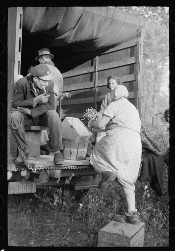 Cranberry pickers getting into truck that will carry them back to Philadelphia, Burlington County, New Jersey