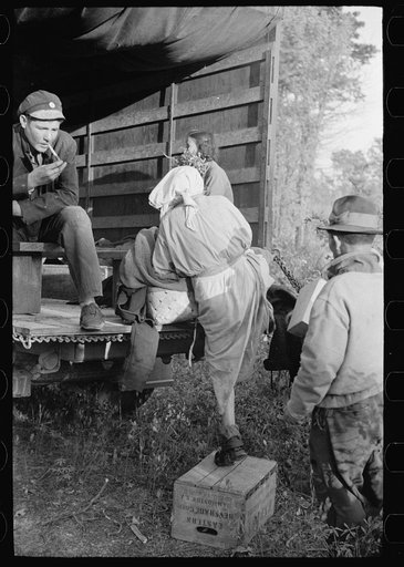 Untitled photo, possibly related to: Cranberry pickers getting into truck that will carry them back to Philadelphia, Burlington County, New Jersey