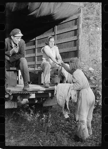 Untitled photo, possibly related to: Cranberry picker, Burlington County, New Jersey