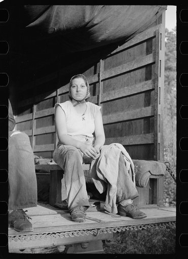 Cranberry picker, Burlington County, New Jersey