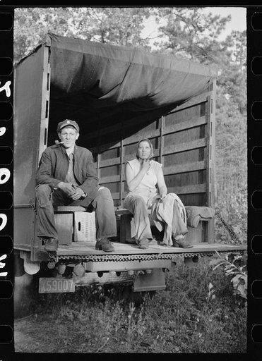 Untitled photo, possibly related to: Cranberry picker, Burlington County, New Jersey