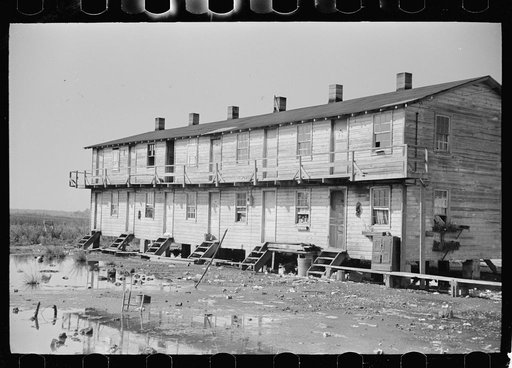 Workers in oyster industry live in shacks like this. Mosquitoes breed in everpresent pools of water, Shellpile, New Jersey