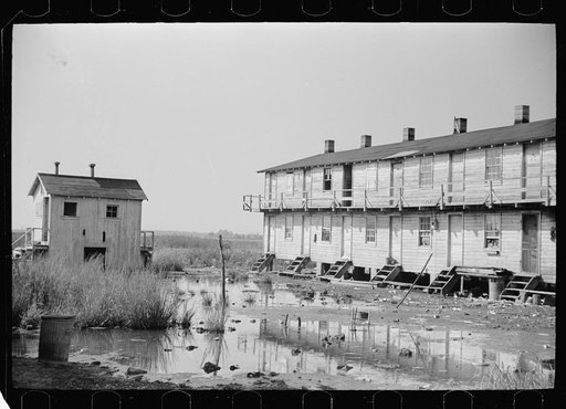Workers in oyster industry live in shacks like this. Mosquitoes breed in everpresent pools of water, Shellpile, New Jersey