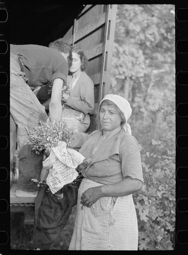Cranberry pickers getting into truck that will carry them back to Philadelphia, Burlington County, New Jersey