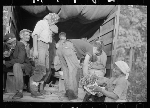 Cranberry pickers getting into truck that will carry them back to Philadelphia, Burlington County, New Jersey