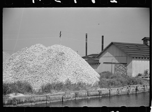 Pile of oyster shells, Shellpile, New Jersey