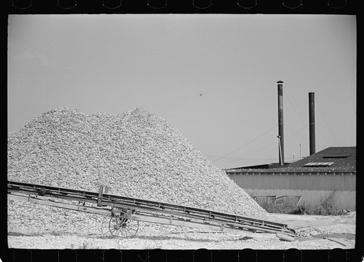 Pile of oyster shells used for fertilizer, Shellpile, New Jersey