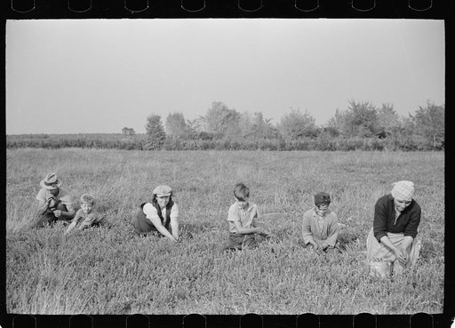 Cranberry pickers, Burlington County, New Jersey