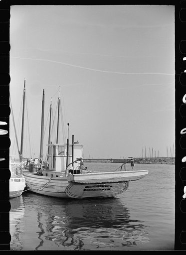 Untitled photo, possibly related to: Oyster fishing boats, Bivalve, New Jersey