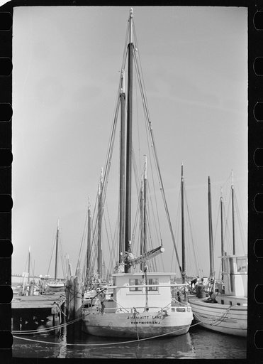 Oyster fishing boats, Bivalve, New Jersey