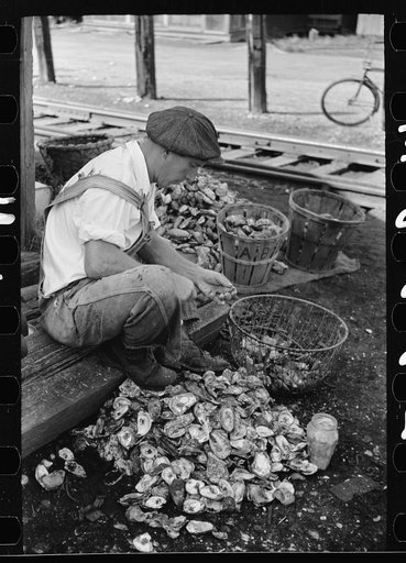 Shucking oysters, Bivalve, New Jersey