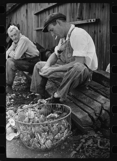 Bivalve, New Jersey. Shucking oysters