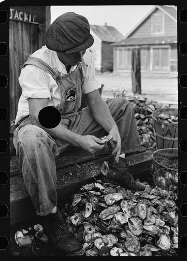 Untitled photo, possibly related to: Shucking oysters, Bivalve, New Jersey
