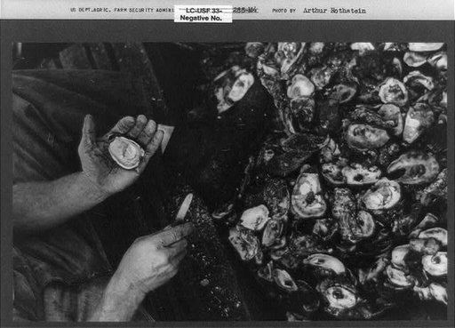 Shucking oysters, Bivalve, New Jersey